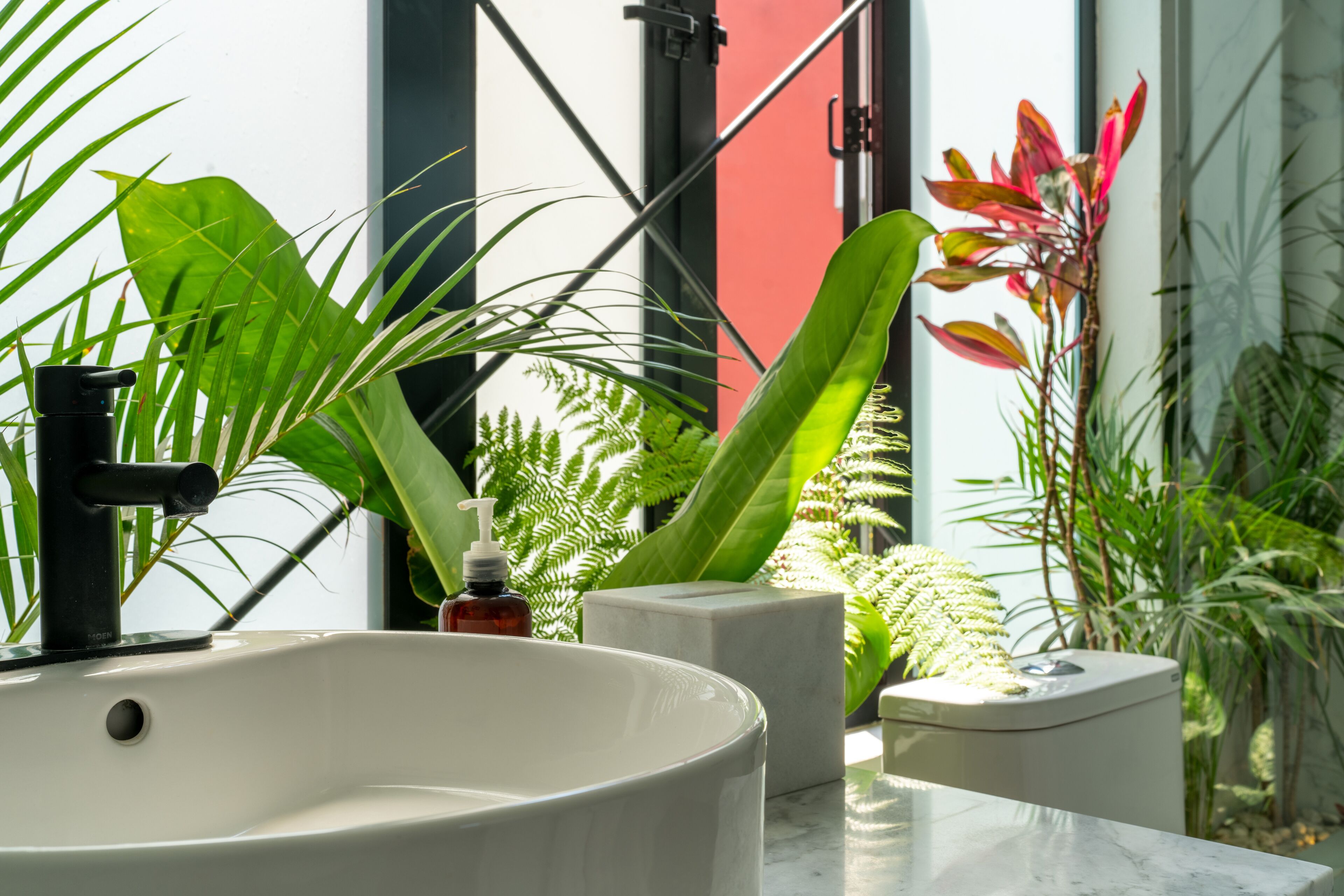 Foto - Orchid House Mexico City