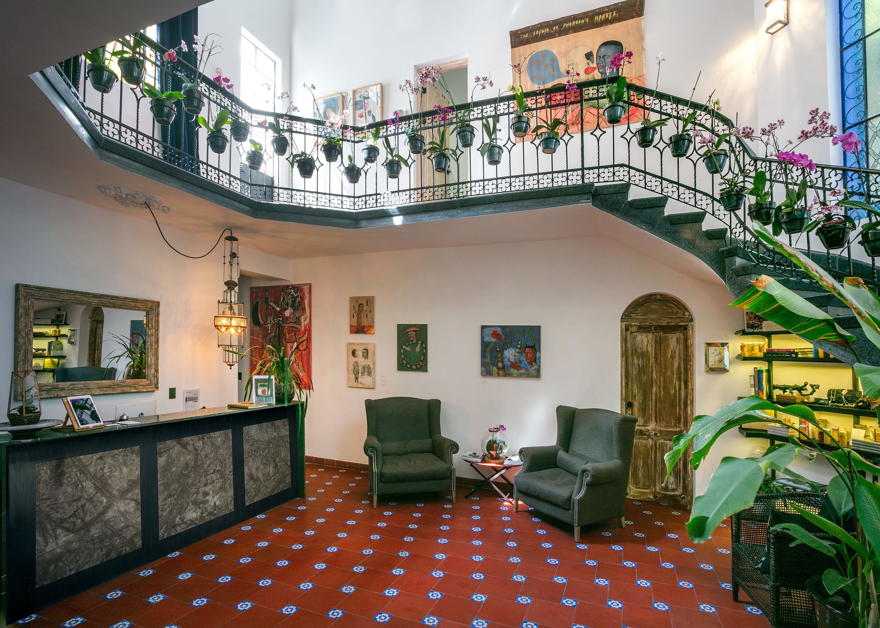 Foto - Orchid House Mexico City