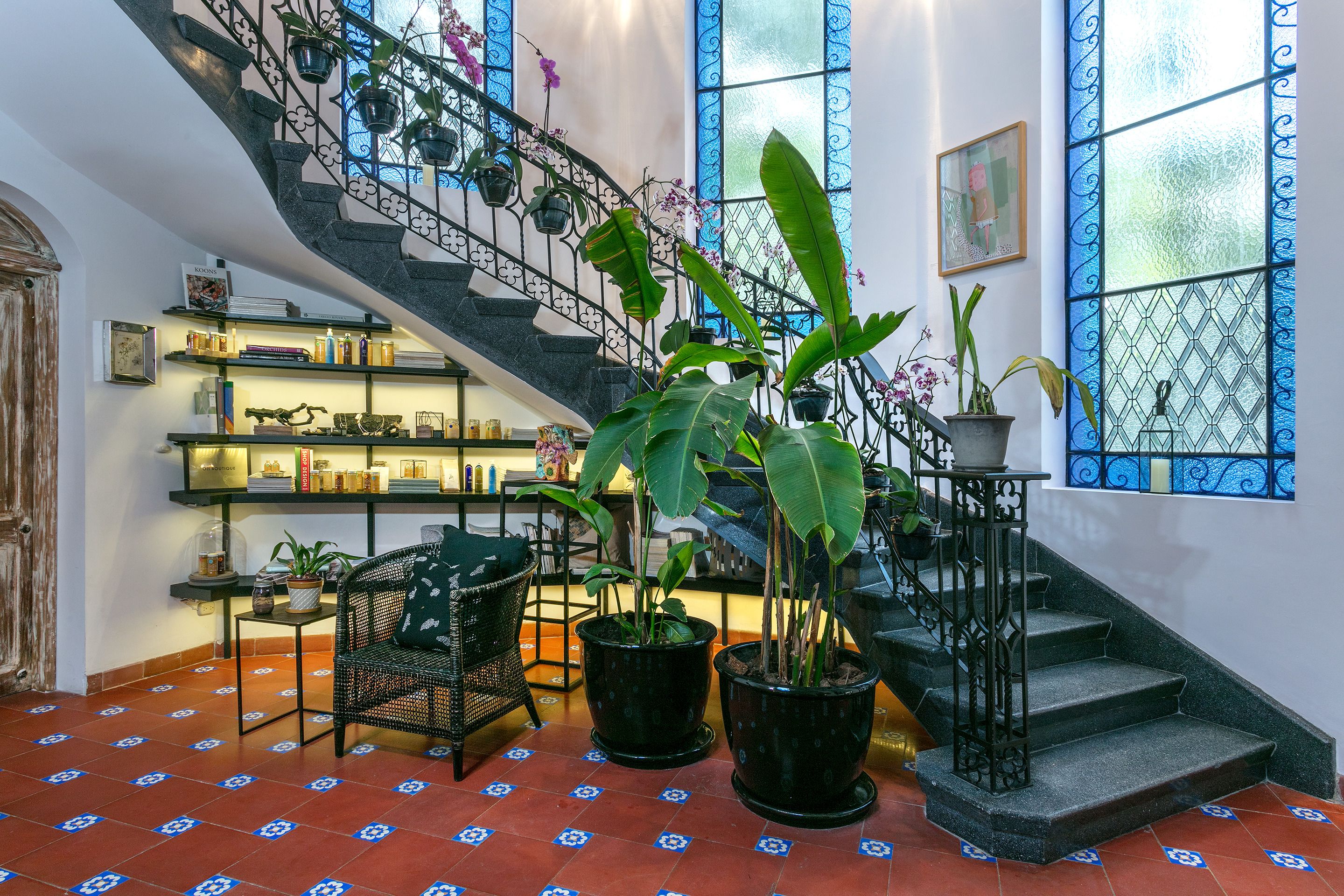 Foto - Orchid House Mexico City