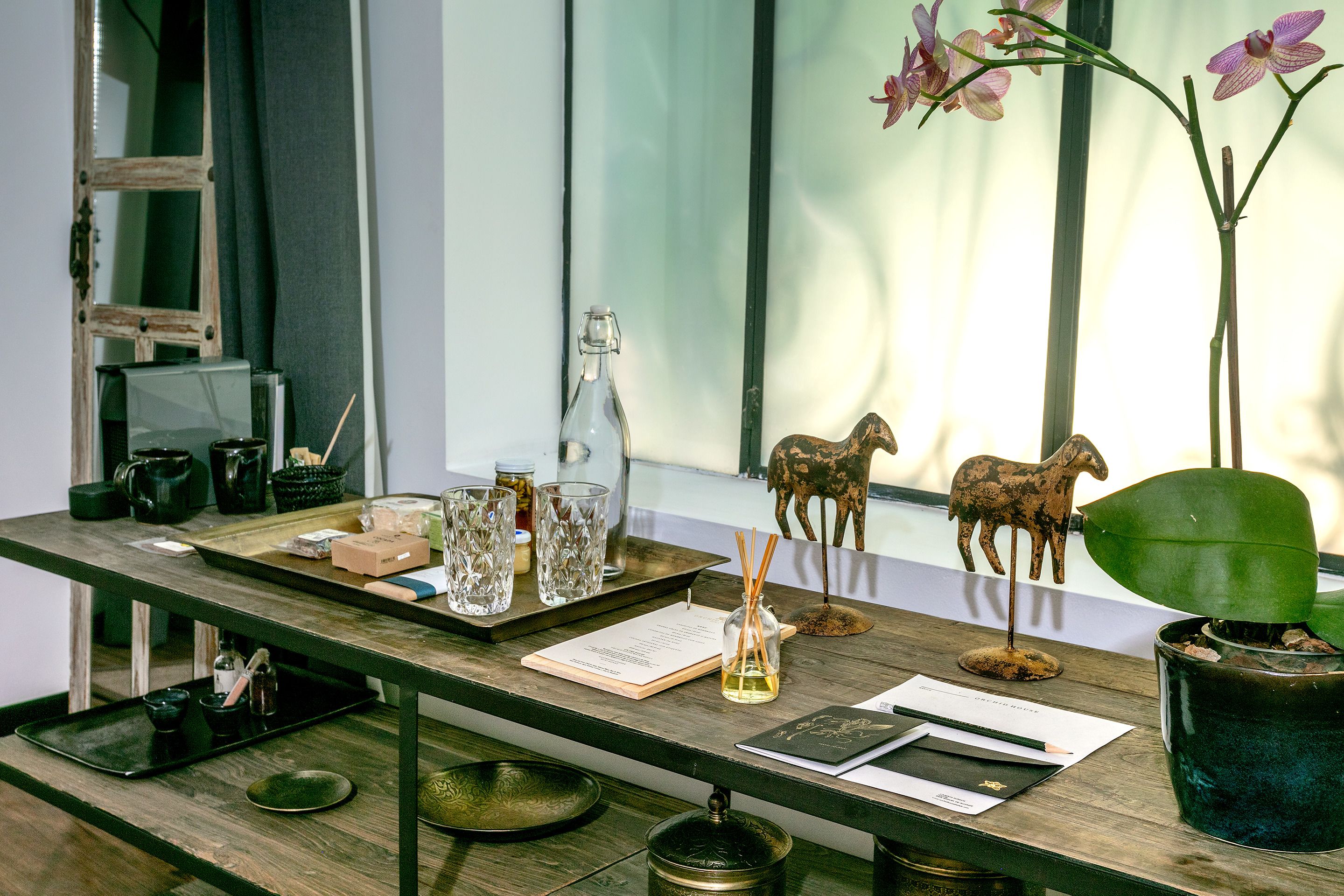 Foto - Orchid House Mexico City