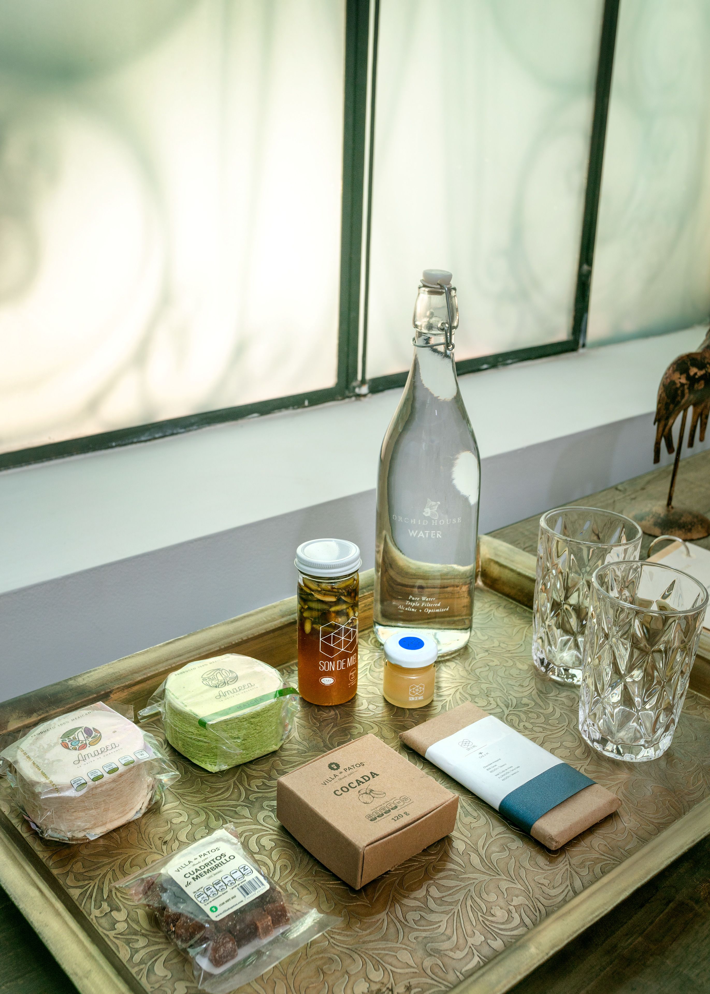 Foto - Orchid House Mexico City