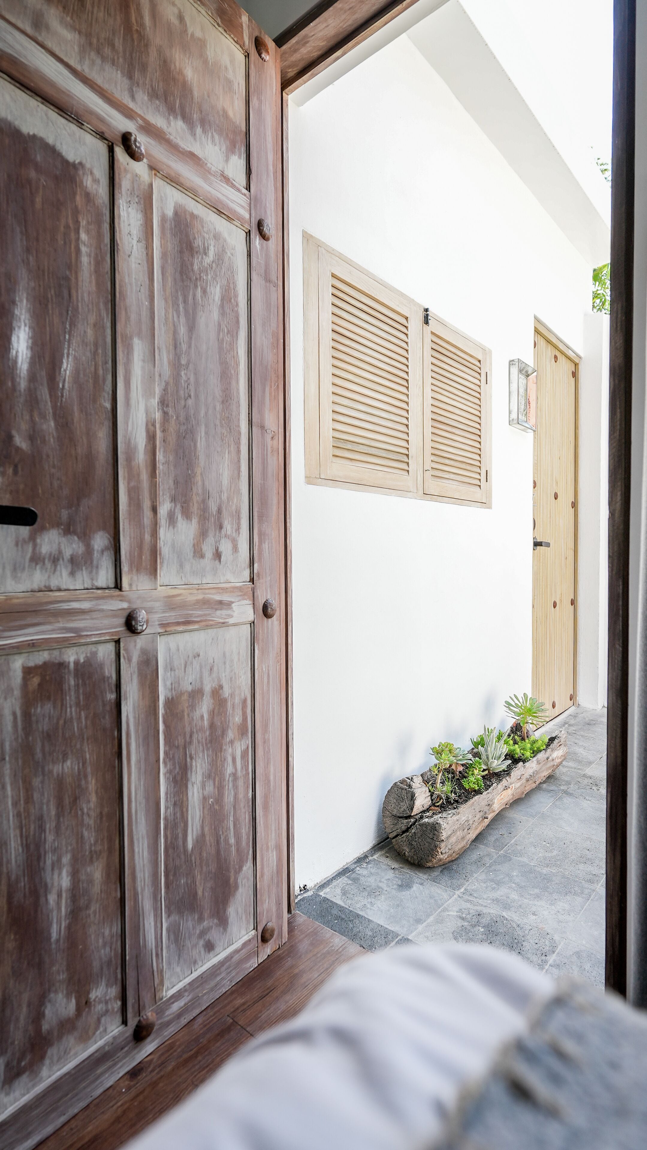 Foto - Orchid House Mexico City