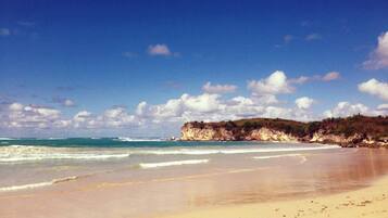 Pantai di sekitar, pasir putih, selancar angin, dan 10 bar pantai