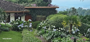 Luxury Quadruple Room - Finca Paraiso Mountain Retreat (Santo Domingo)