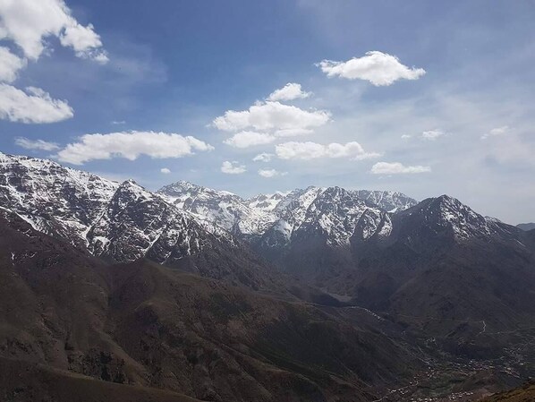 التنزّه سيراً على الأقدام