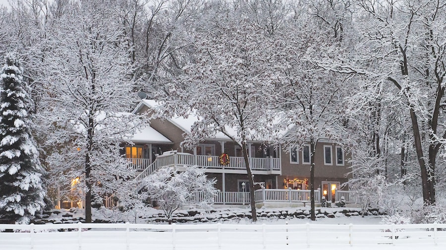 斑点母鸡酒店B&B
