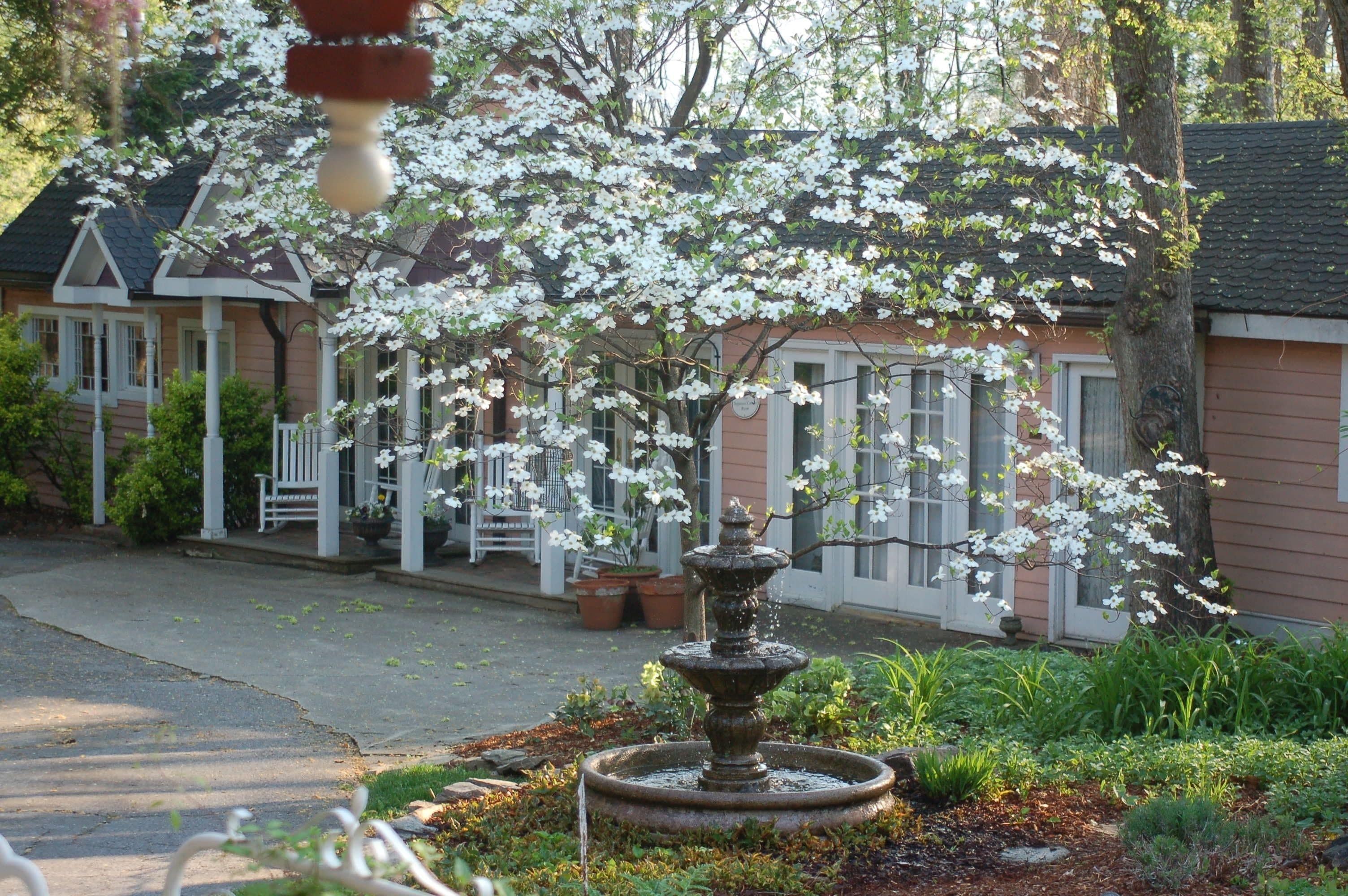 A traditional house with a front porch, a fountain, and blooming trees.