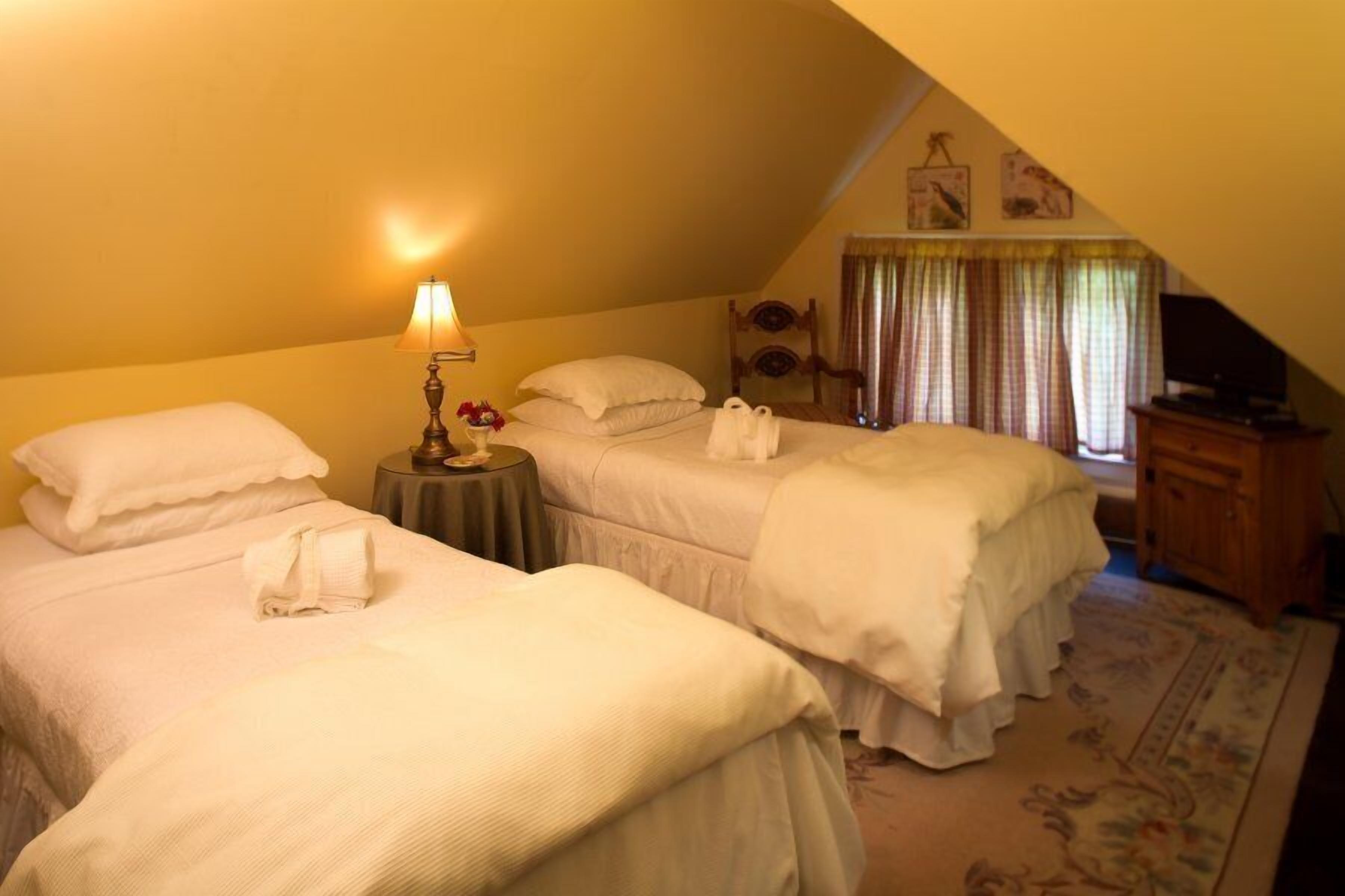 A room with two single beds, a lamp, a small table with a vase, and a television on a wooden cabinet.