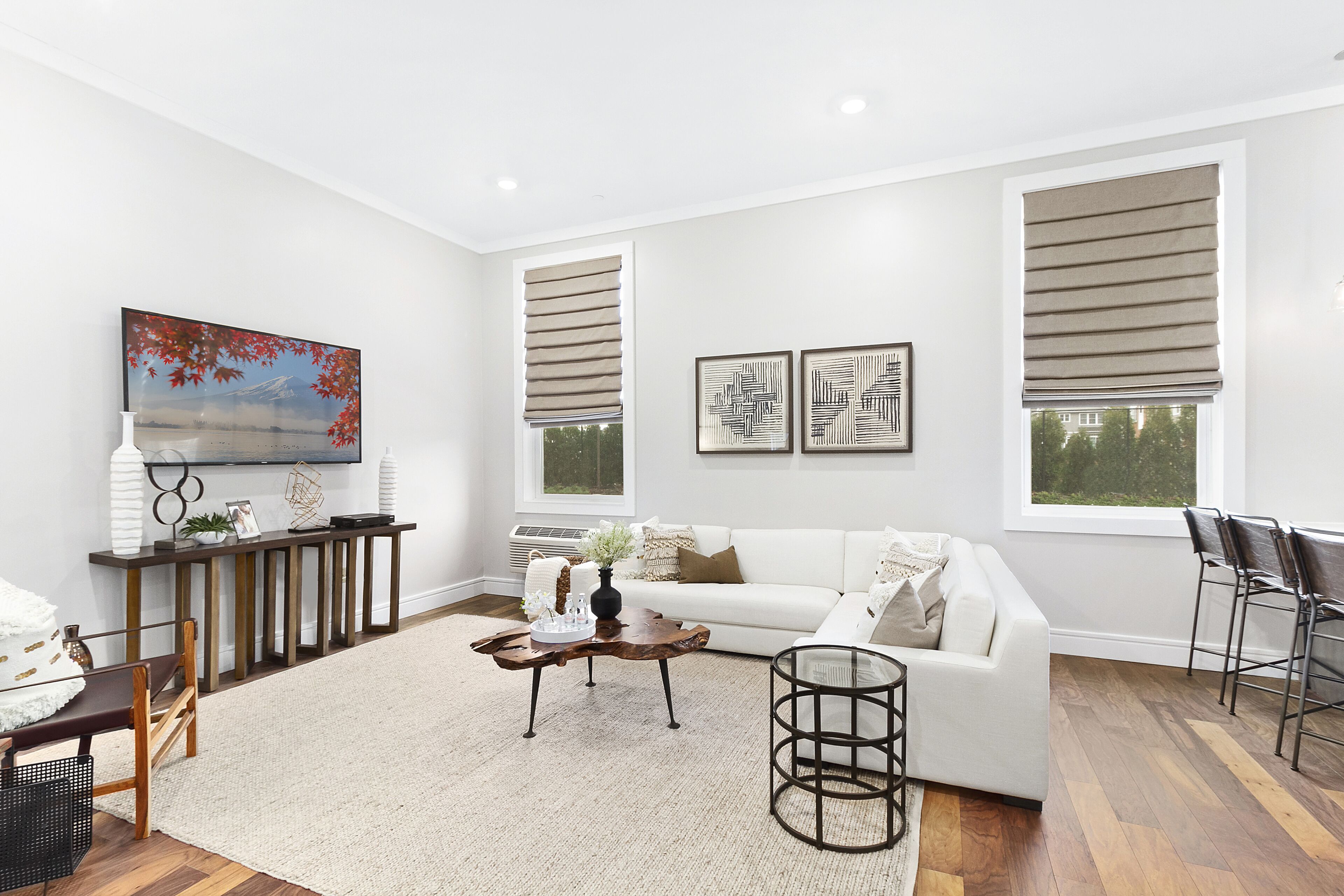 luxury apartment | living area