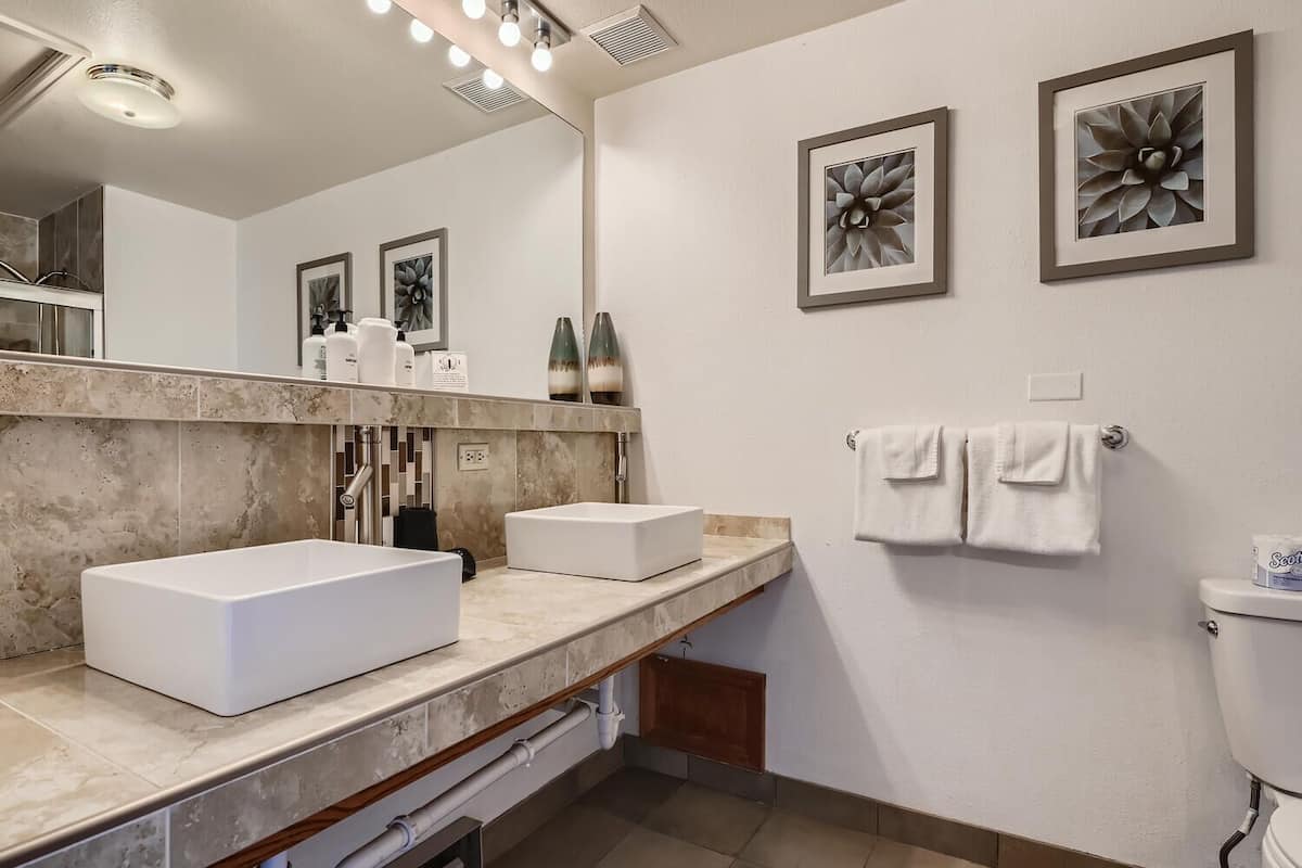 hair dryer, soap, shampoo, toilet paper