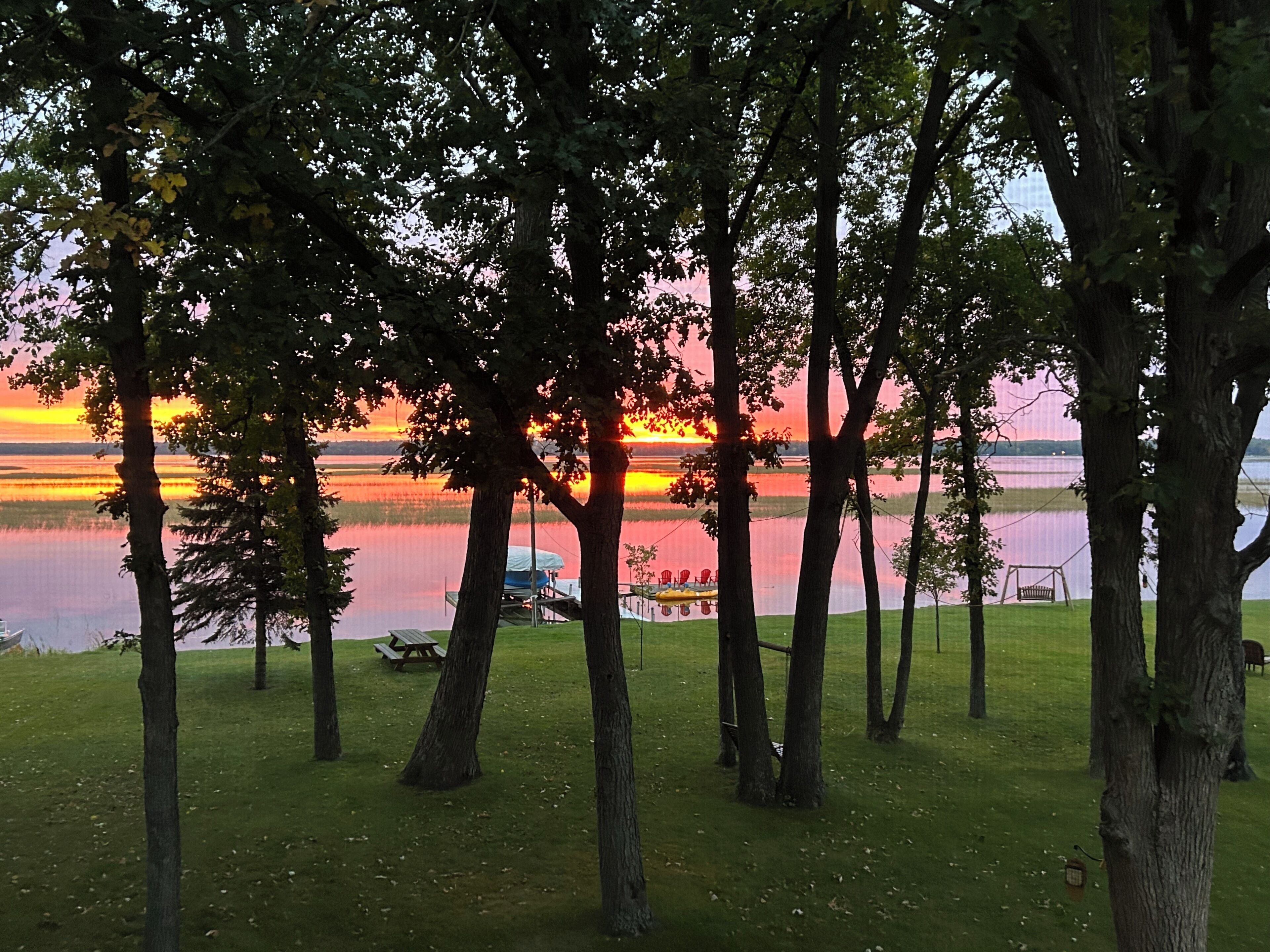 A lakeside view with trees, a picnic table, and a swing set.