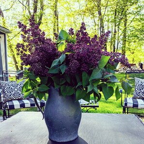 Terrace/patio - The Buckmaster Inn (Shrewsbury)