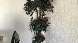 Economy House, 2 Bedrooms - Hakal Housing Consulado (Ciudad Juárez)