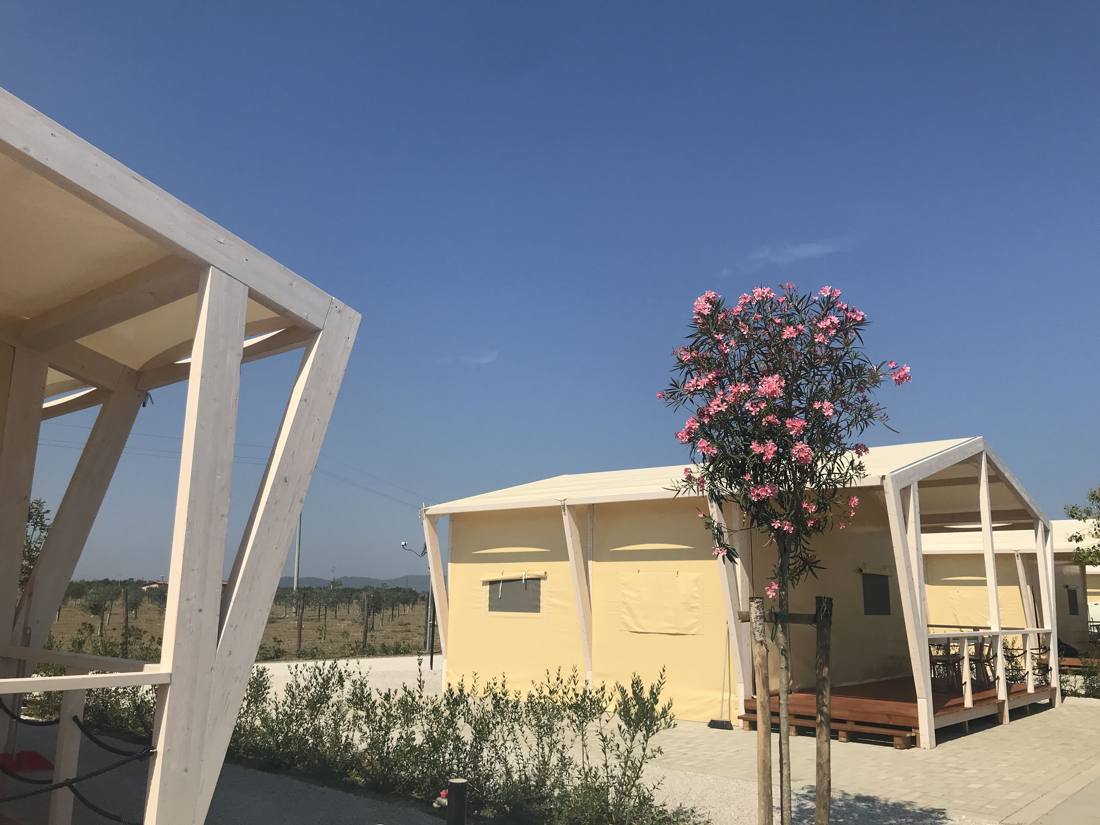 Ein moderner Außenbereich mit Holz-Pergola, ein gelbes Gebäude mit Flachdach und ein blühender Baum.