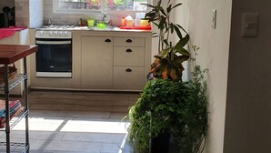 Et lille køkken med et vindue, indbyggede hylder, en komfur og en potteplante.