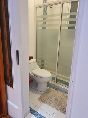 Ducha, secador de pelo, toallas, jabón