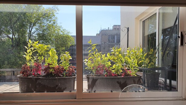 En balkon med plantekasser og udsigt til bygninger i baggrunden.