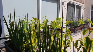 En balkon med plantekasser og et vindue med gelænder.
