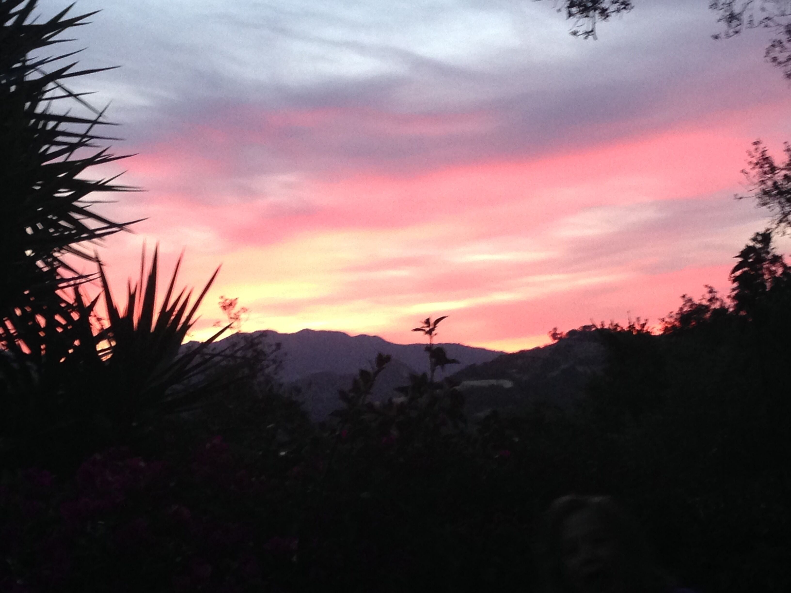 A sunset over a mountainous landscape with silhouettes of trees and plants.