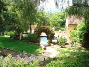 Outdoor pool - Relaxing Topanga getaway: remodeled kitchen/bath, pool, Jacuzzi, close to beach! (Topanga)