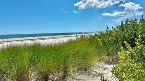 Imagem sem classificação, 3 de 22, botão