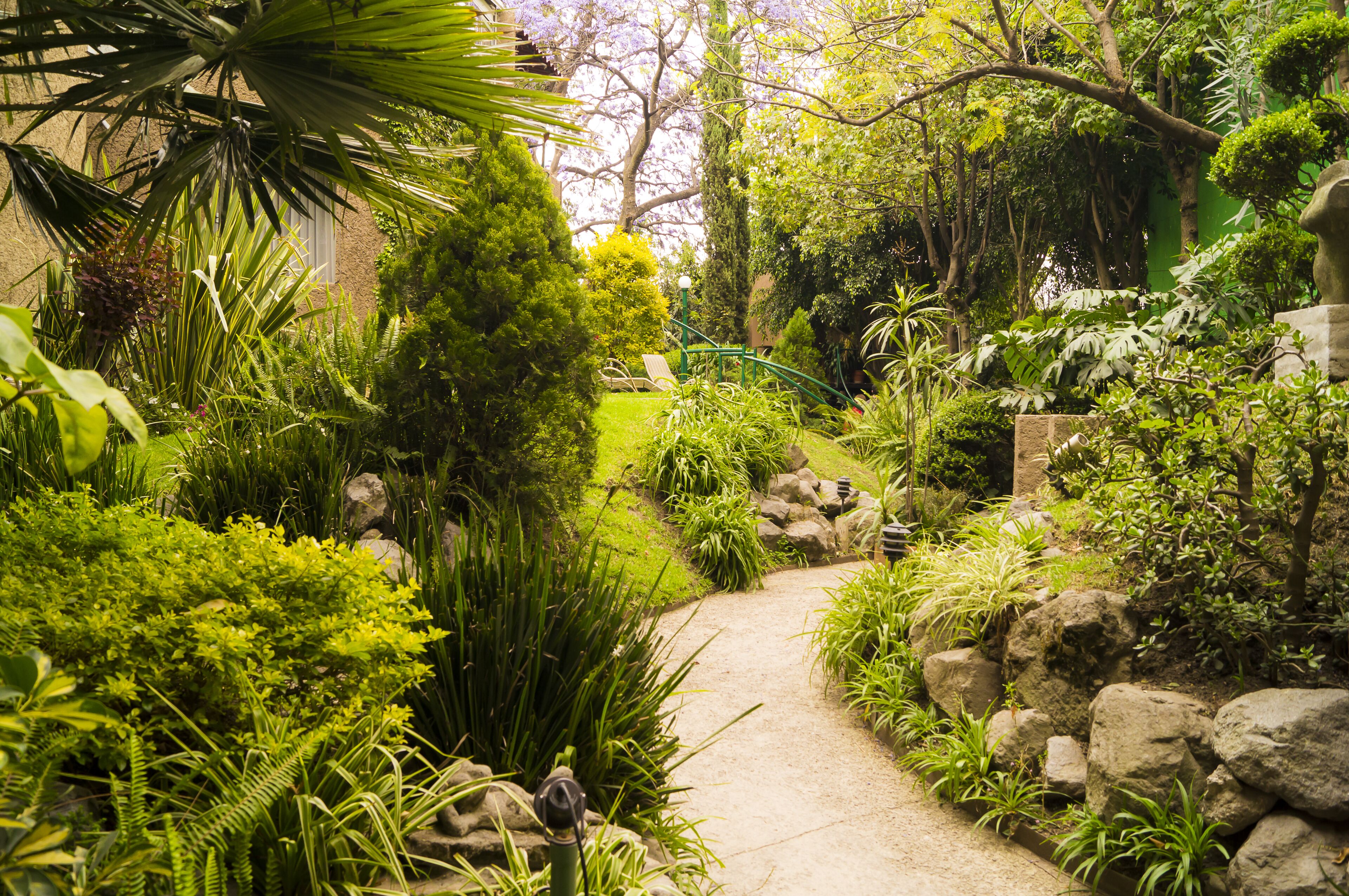 Área da propriedade