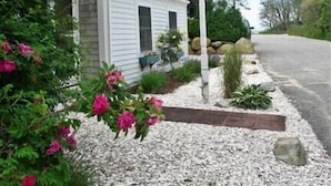 A small, single-story house with a white exterior and dark shutters, surrounded by a garden with pink flowers and a gravel pathway. - Steps To Bay at Campground Beach, A/C, Heat,Wifi, Outdoor Shower, Gas Grill (Eastham)