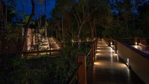 Un paseo marítimo de madera que atraviesa una zona boscosa, con bancos e iluminación a lo largo del camino.