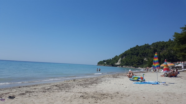 Lettini da mare