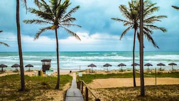 Una spiaggia nelle vicinanze, lettini da mare