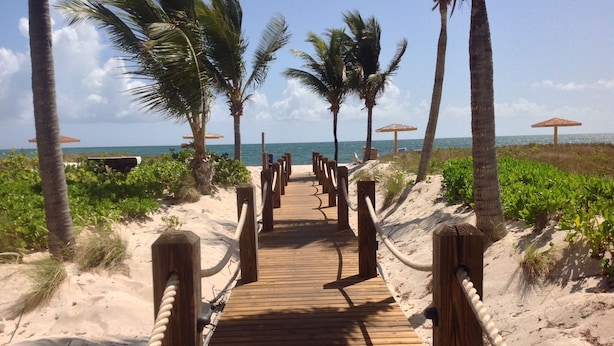 Une promenade en bois menant à la plage, bordée de palmiers et ponctuée de parasols de plage.