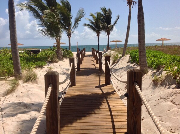 Accommodatie ligt op het strand, ligstoelen, strandlakens