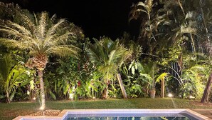 A swimming pool surrounded by lush tropical vegetation at night.