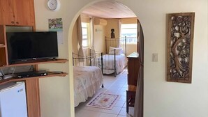 Una stanza funzionale con un letto, una TV e angolo cottura.