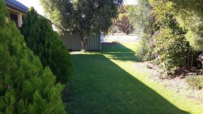 A well-maintained lawn with a tree and a shed in the background.