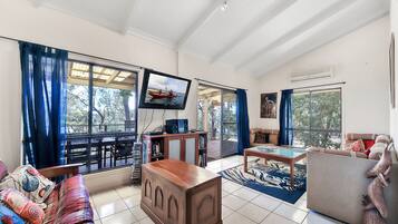 TV, fireplace, DVD player, table tennis