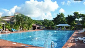 A swimming pool with lounge chairs and umbrellas, surrounded by palm trees and buildings.