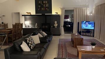 Smart TV, fireplace, video games, DVD player