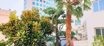 Gallery Family Hotel