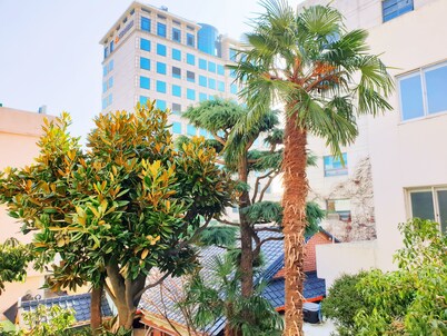 Gallery Family Hotel