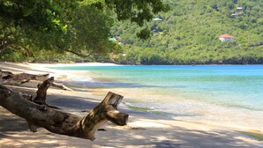 Ein Strand mit Treibholz, klarem Wasser und einem bewaldeten Hügel im Hintergrund.