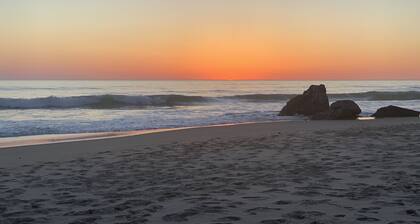 Cap Ferret, charm of a wooden cabin and comfort of a recent realization.