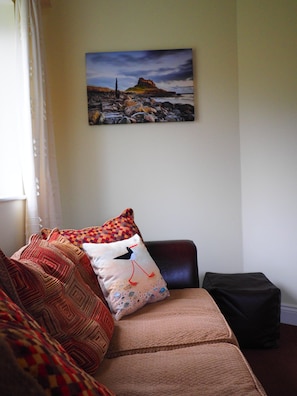 Smart TV, DVD player, books, video library