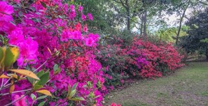Garden - Sunnyside Bed & Breakfast (Natchez)
