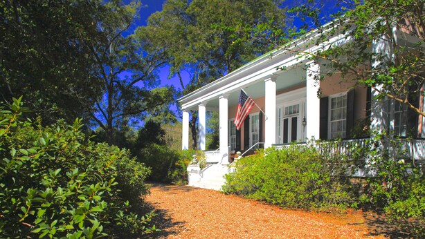 A white building with columns and a porch, surrounded by greenery and trees. - Sunnyside Bed & Breakfast (Natchez)