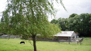 A rural landscape with a barn, a fenced pasture, and a tree. - Disabled and family friendly bungalow on working farm in East Sussex countryside (Mayfield)