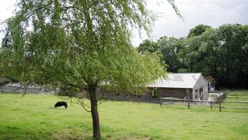 Un paysage rural avec une grange, un pré clôturé et un arbre.