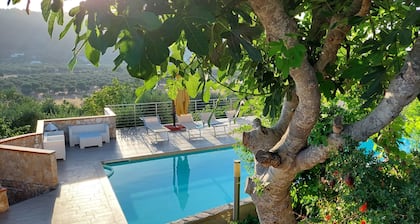 Brandneue Wohnung mit Veranda