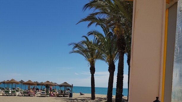 Une vue sur la plage, avec des palmiers, une plage de sable et une hutte au toit de chaume.