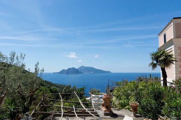 Vista da propriedade